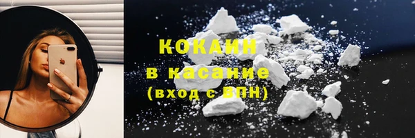 ПСИЛОЦИБИНОВЫЕ ГРИБЫ Вязники