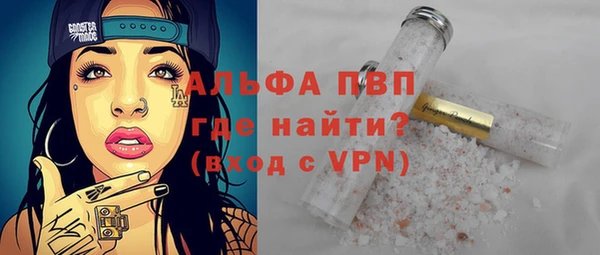 ПСИЛОЦИБИНОВЫЕ ГРИБЫ Вязники