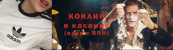 ПСИЛОЦИБИНОВЫЕ ГРИБЫ Вязники
